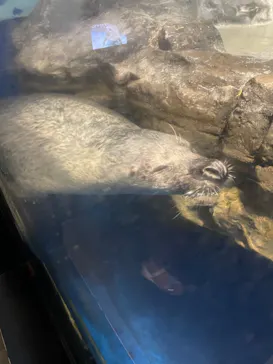 マクセル アクアパーク品川に投稿された画像（2023/7/17）