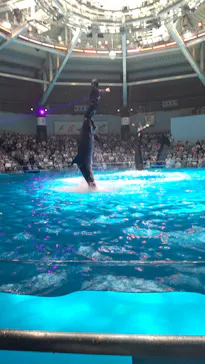 マクセル アクアパーク品川に投稿された画像（2023/7/17）