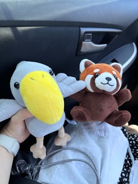 株式会社Gに投稿された画像（2023/7/17）