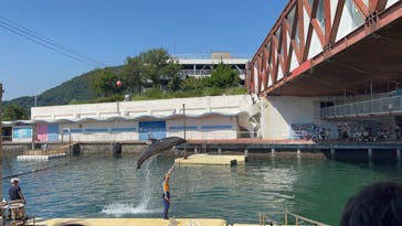 伊豆・三津シーパラダイスに投稿された画像（2023/7/17）