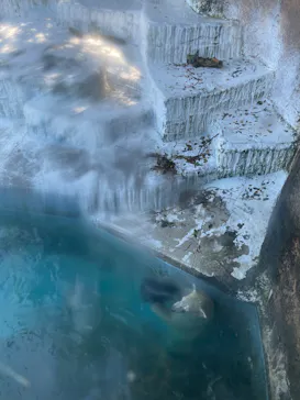 天王寺動物園に投稿された画像（2023/7/17）