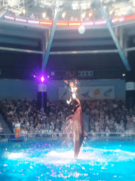 マクセル アクアパーク品川に投稿された画像（2023/7/17）