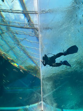 環境水族館アクアマリンふくしまに投稿された画像（2023/7/17）
