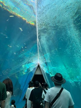 環境水族館アクアマリンふくしまに投稿された画像（2023/7/17）