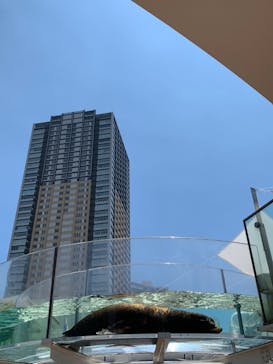 サンシャイン水族館に投稿された画像（2023/7/17）