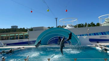 鴨川シーワールドに投稿された画像（2023/7/17）