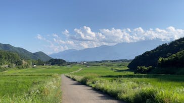 乗旅YATSUGATAKEに投稿された画像（2023/7/17）