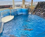 新江ノ島水族館に投稿された画像（2023/7/17）