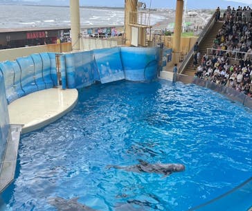 新江ノ島水族館に投稿された画像（2023/7/17）