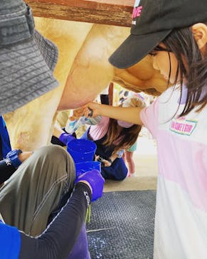 成田ゆめ牧場に投稿された画像（2023/7/17）