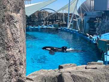 名古屋港水族館に投稿された画像（2023/7/17）