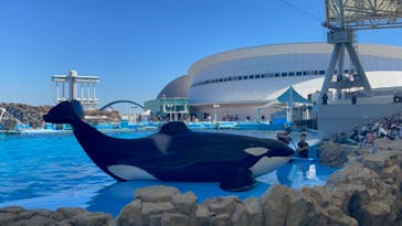 名古屋港水族館に投稿された画像（2023/7/17）