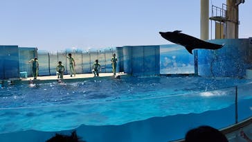 新江ノ島水族館に投稿された画像（2023/7/17）