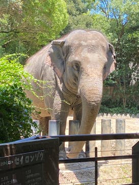 到津の森公園に投稿された画像（2023/7/17）