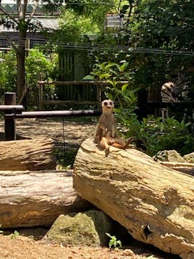 到津の森公園に投稿された画像（2023/7/17）