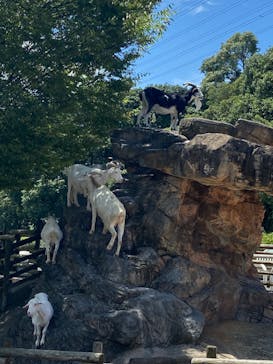 到津の森公園に投稿された画像（2023/7/17）