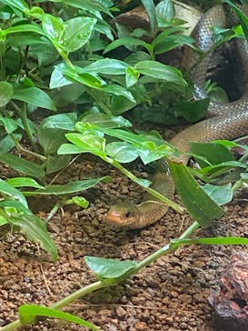 到津の森公園に投稿された画像（2023/7/17）