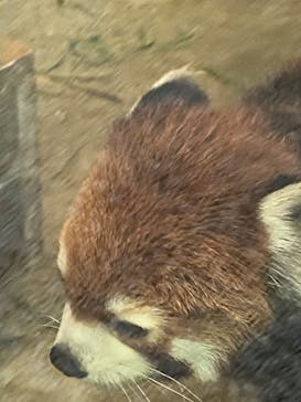 到津の森公園に投稿された画像（2023/7/17）