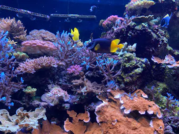 マクセル アクアパーク品川に投稿された画像（2023/7/17）