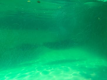 千葉市動物公園に投稿された画像（2023/7/17）