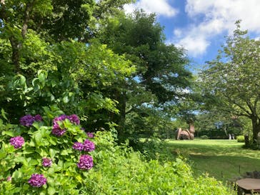 彫刻の森美術館に投稿された画像（2023/7/17）