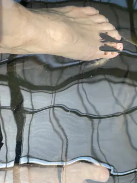 神戸どうぶつ王国に投稿された画像（2023/7/17）