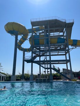 蓮沼ウォーターガーデンに投稿された画像（2023/7/17）