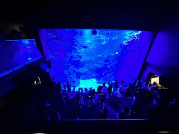 京都水族館に投稿された画像（2023/7/17）