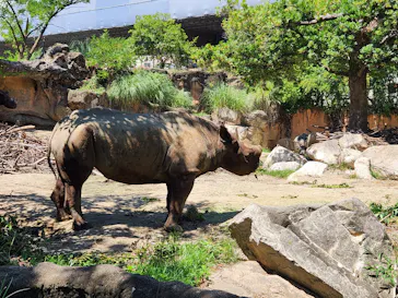 天王寺動物園に投稿された画像（2023/7/17）