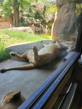 天王寺動物園に投稿された画像（2023/7/17）
