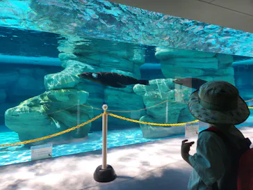 天王寺動物園に投稿された画像（2023/7/17）