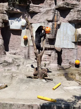 天王寺動物園に投稿された画像（2023/7/17）