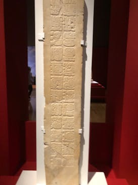 特別展「古代メキシコーマヤ、アステカ、テオティワカン」に投稿された画像（2023/7/17）