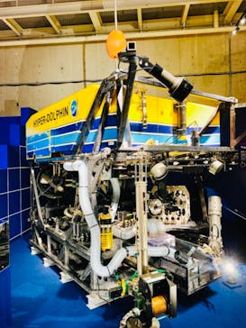 特別展「海　―生命のみなもと―」（国立科学博物館）に投稿された画像（2023/7/17）