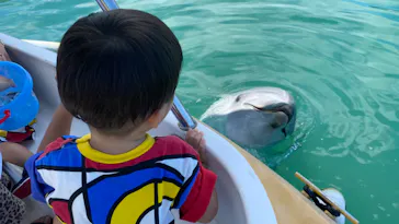 うみたま体験パーク 「つくみイルカ島」に投稿された画像（2023/7/17）