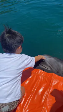 うみたま体験パーク 「つくみイルカ島」に投稿された画像（2023/7/17）