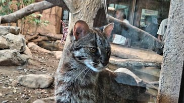 那須どうぶつ王国に投稿された画像（2023/7/17）