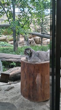 那須どうぶつ王国に投稿された画像（2023/7/17）