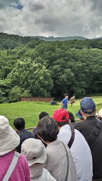 那須どうぶつ王国に投稿された画像（2023/7/17）