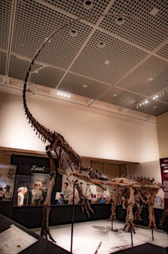 大阪市立自然史博物館に投稿された画像（2023/7/17）