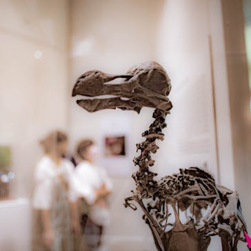 大阪市立自然史博物館に投稿された画像（2023/7/17）