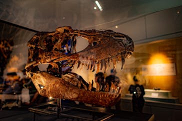 大阪市立自然史博物館に投稿された画像（2023/7/17）