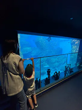 仙台うみの杜水族館に投稿された画像（2023/7/17）