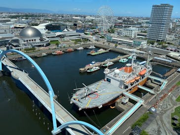 名古屋港水族館に投稿された画像（2023/7/17）