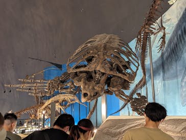 福井県立恐竜博物館に投稿された画像（2023/7/17）