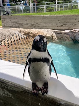 マリンワールド海の中道に投稿された画像（2023/7/17）