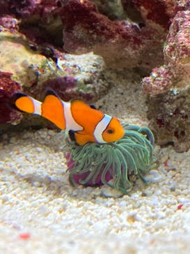 マリンワールド海の中道に投稿された画像（2023/7/17）