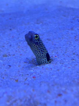 マリンワールド海の中道に投稿された画像（2023/7/17）
