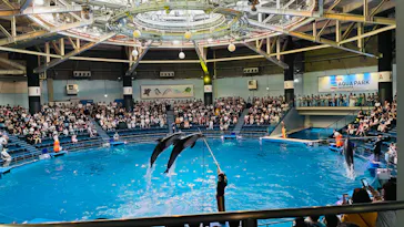 マクセル アクアパーク品川に投稿された画像（2023/7/17）