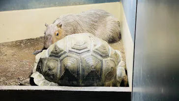 マクセル アクアパーク品川に投稿された画像（2023/7/17）